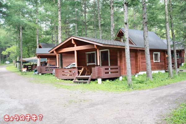 f0203423_142579.jpg