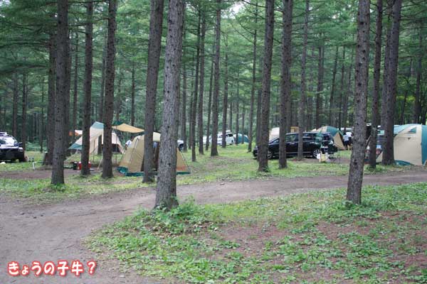 f0203423_1430541.jpg