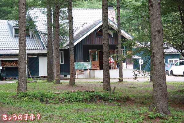 f0203423_143398.jpg