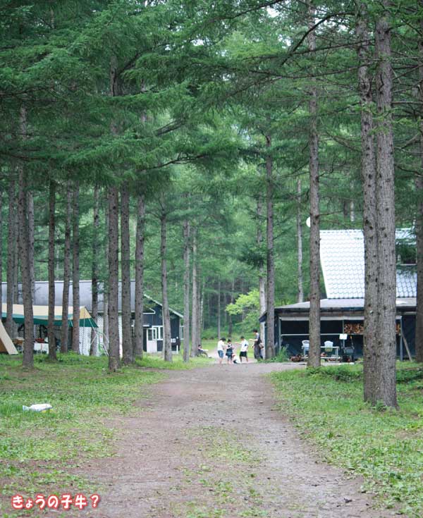 f0203423_1491230.jpg