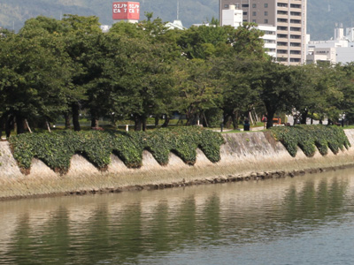 c0064025_106763.jpg