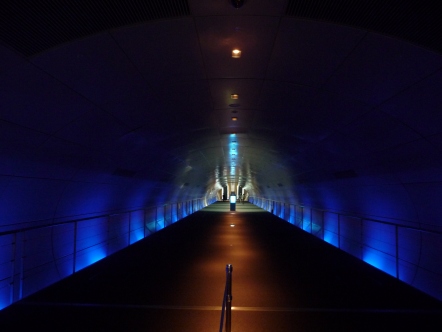 e0158925_0365223.jpg