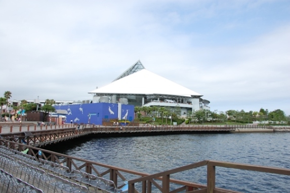 f0095128_2044122.jpg