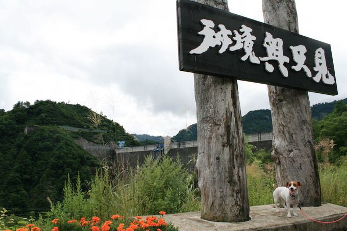 c0035931_22145279.jpg