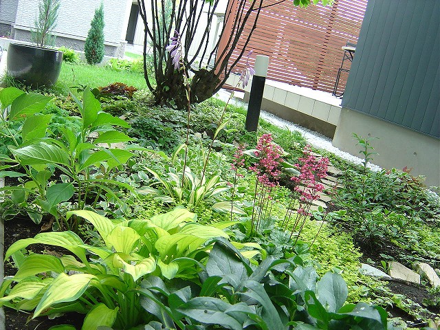 f0205733_22155818.jpg