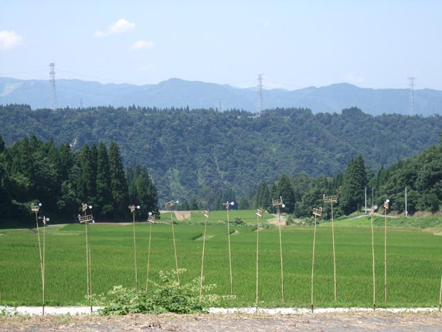 c0000134_17124571.jpg