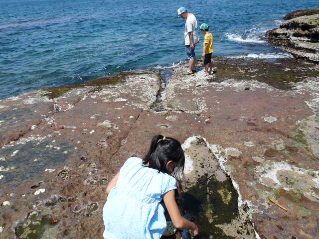 c0100534_2021533.jpg
