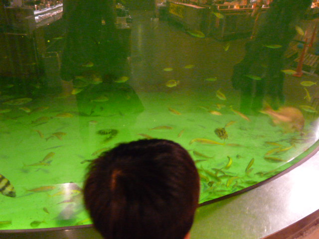 c0100534_202556.jpg