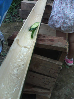f0204440_1354228.jpg