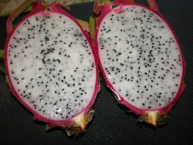 c0153444_23494718.jpg