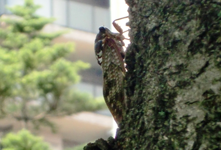 c0122445_1922110.jpg