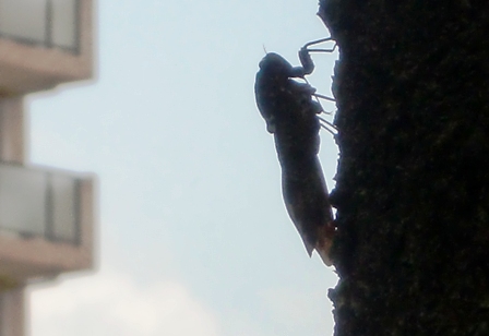 c0122445_1922729.jpg