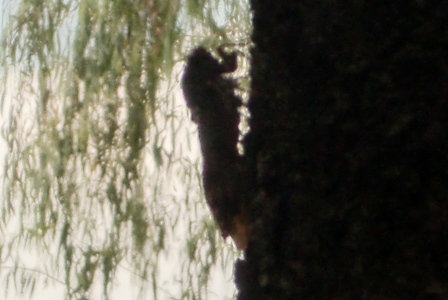 c0122445_1923574.jpg
