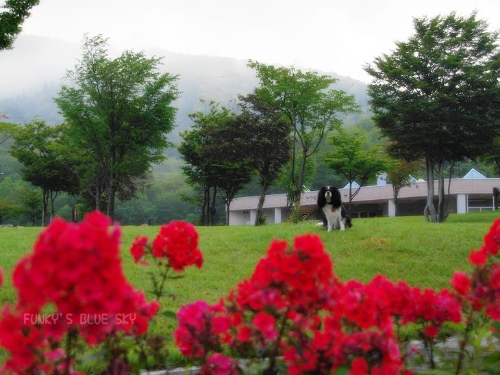 c0145250_1014253.jpg
