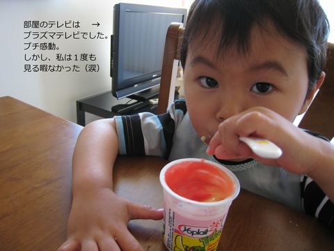 a0090451_236989.jpg
