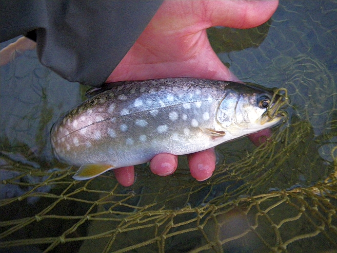 c0060452_2114676.jpg