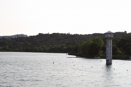 f0200756_1445665.jpg