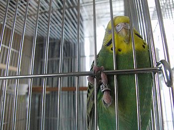 f0196665_017430.jpg
