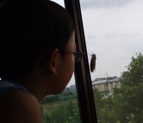 b0183566_1513378.jpg