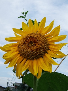 a0026567_14373698.jpg