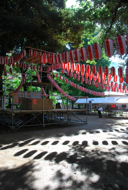 b0174068_0315878.jpg