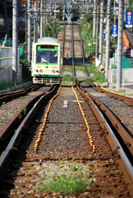 b0174068_0335274.jpg
