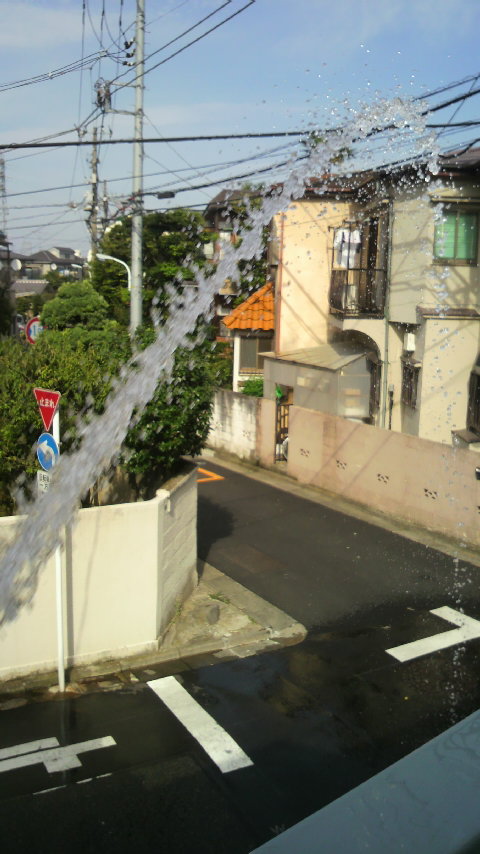 d0030168_15231185.jpg