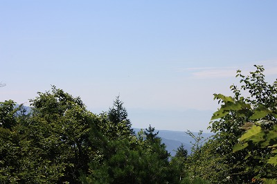 f0052068_037497.jpg