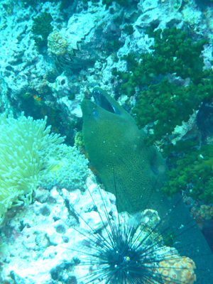 d0041074_10322676.jpg