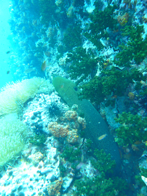 d0041074_10332520.jpg