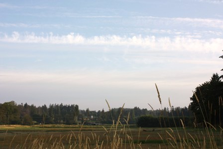 a0100975_903924.jpg