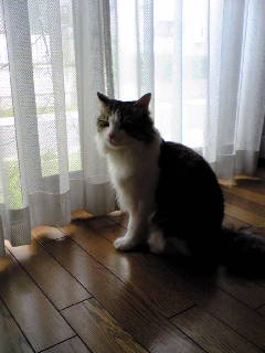 f0011875_20343837.jpg