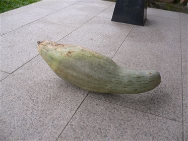 f0001378_21434582.jpg