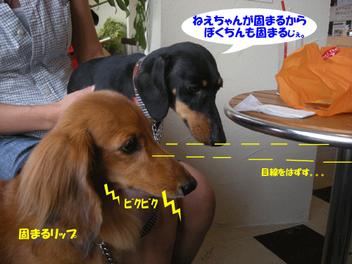 e0066883_14101425.gif