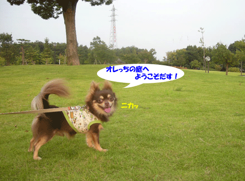 e0066883_14303282.gif
