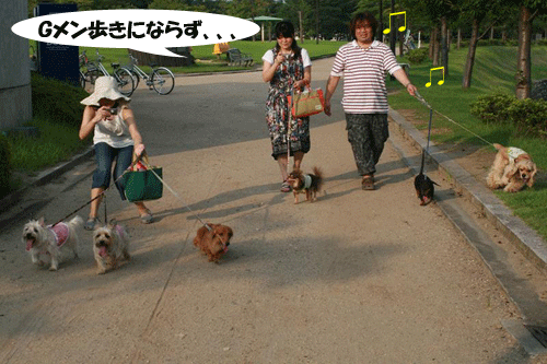 e0066883_14314182.gif