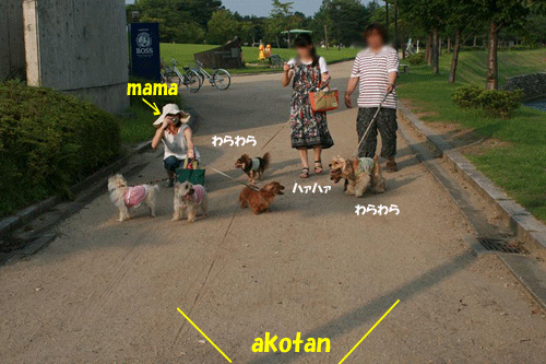 e0066883_1434359.gif