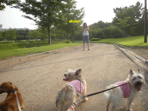 e0066883_1436560.gif