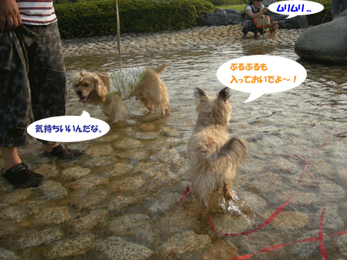 e0066883_143989.gif