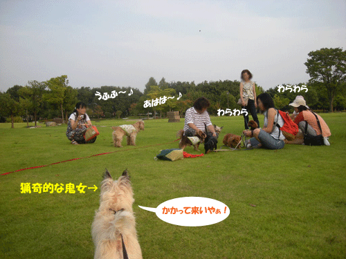 e0066883_14435474.gif