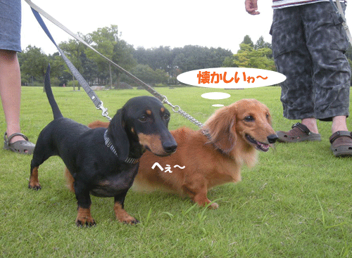 e0066883_1447378.gif