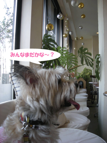 e0066883_1491341.gif
