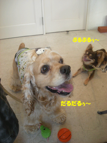 e0066883_1492574.gif