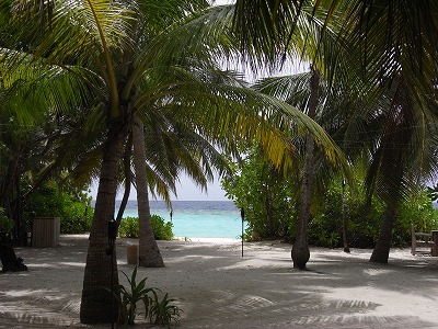 b0101284_2117342.jpg