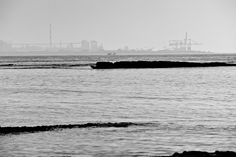d0142891_539531.jpg