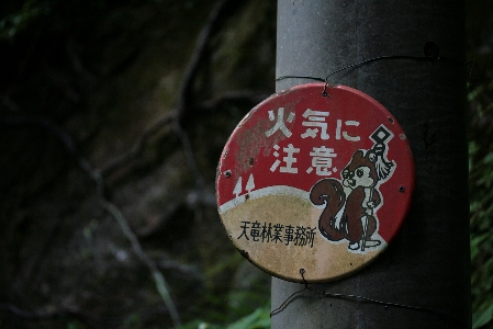 d0133693_19451118.jpg