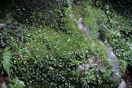 d0133693_19452962.jpg