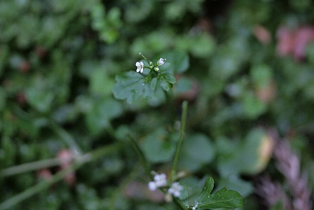 d0133693_19455543.jpg