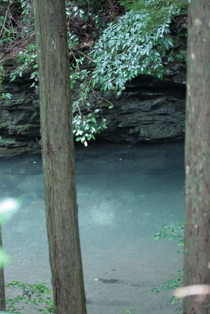 d0133693_19462213.jpg