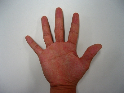 f0047693_028667.jpg